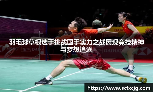 羽毛球草根选手挑战国手实力之战展现竞技精神与梦想追逐