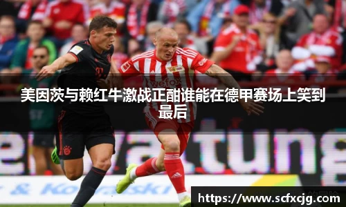 非凡娱乐官网